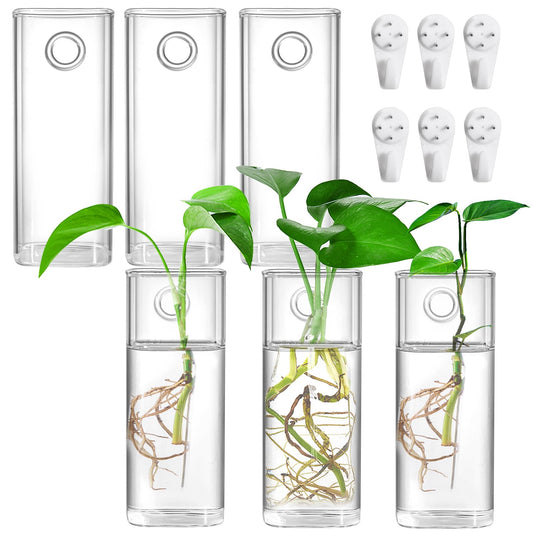 Fasmov 6 Pack Wall Hanging Glass Planters, Terrarium Holders for Air Plants, Succulents, Flowers - Square, Clear Vase Containers for Plant Display and Decoration