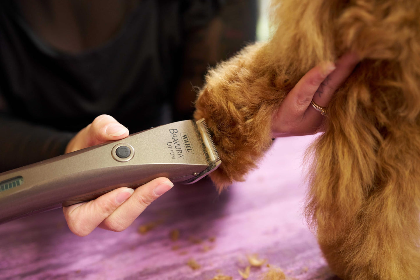 Wahl Professional Animal Bravura Pet, Dog, Cat, and Horse Corded/Cordless Clipper Kit, Gunmetal (#41870-0425)