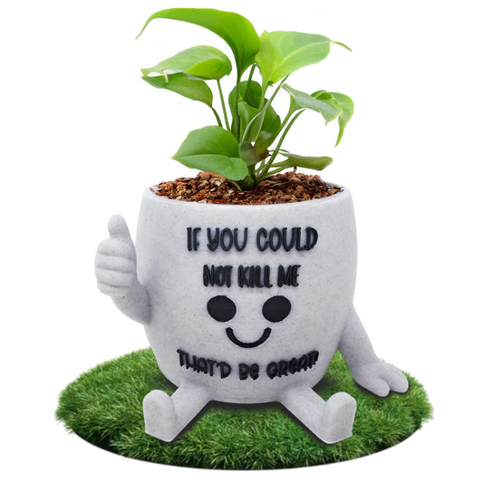 Funny Face Indoor Head Planter Pot, 3D Printed, Unique Small Succulent Flower Pot, Cute Cactus Planter, Indoor Home Decor, Office Desk Plant Pot, Novelty Gardening Gift Set