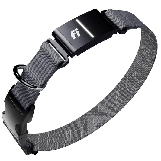 Fi New Series 3+ Smart Dog Tracker Collar [12 Month Membership Included] GPS Tracker for Dogs with Health & Behavior Monitoring, Escape Alerts, Waterproof, LED, Apple Watch Compatible (Gray, Medium)