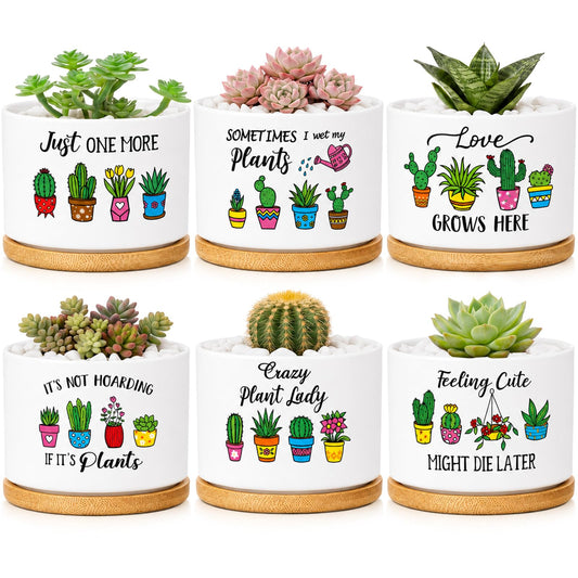 Acellegic 6 Pcs Funny Succulent Plant Pots with Bamboo Trays Mini Ceramic Flower Pots Cute Cactus Planters for Indoor Women Plant Lovers Nurse, Plants Not Included