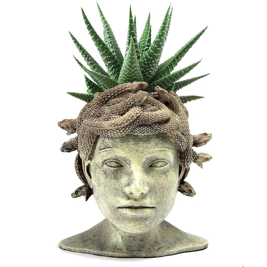 Medusa Head Planter Large Stone Face Planter Pot Garden Statue Outdoor Flower Pot Waterproof Sculpture Greek Mythology Garden Decor Handmade Art Sculpture Unique Gift for Patio Yard Lawn Home Decor