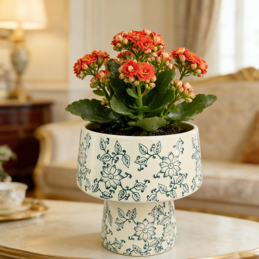 Blue and White Ceramic Flower Pot with Drainage Hole ，Elegant Succulent Plants and Orchid Planters , Home Decor Flowerpots with Tall Cup Shape Suitable for Tiger Tail Orchid and Floral Plants (BIG)