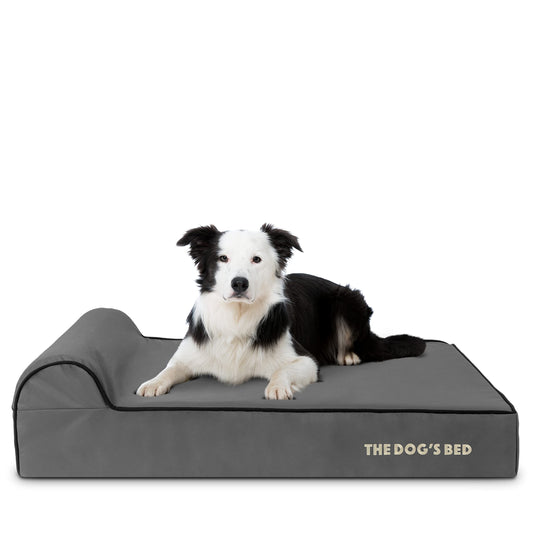 The Dog’s Bed Orthopedic Memory Foam Dog Bed with Headrest, Oxford Fabric, Grey with Black Trim, Large, 6-Inch