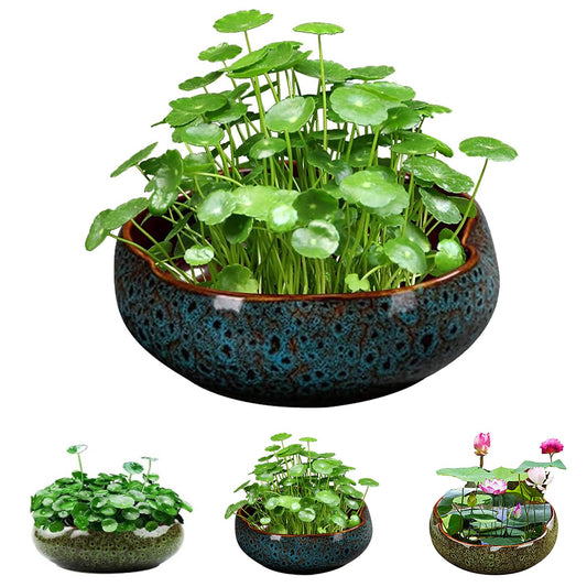 Lotus Bowl Planter, Lotus Bowls for Planting in Water Indoors, Bonsai Bowl Lotus Flower Seeds, Ceramic Planters for Indoor Plants, Leak-Proof Design for Succulent Plants Fish Home Decor (Blue)