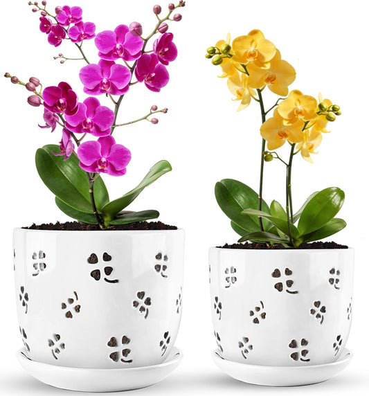 REMIAWY Orchid Pot, 6 Inch and 5 Inch Large Ceramic Orchid Planter with Drainage Holes and Saucer, Decorative Flower Pots for Indoor Outdoor Plant Repotting, Succulent, Good Air Circulation, 2 Packs