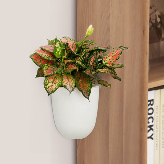 ORIMERC 2 Pack Corner Wall Mounted Hanging Planter Self Watering Triangle Plastic Flower Pot Decorative Modern Plant Vase Container Holder for Succulent Indoor Outdoor Home Office Décor White