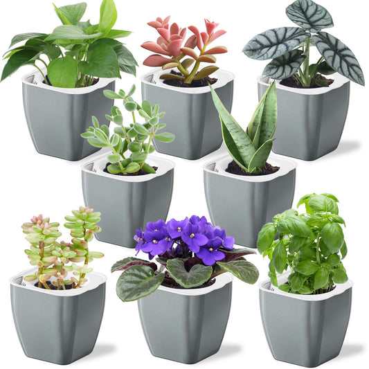 Oliz 8 Pack 4-inch Plant Pots Indoor Garden Decorative Flower pots Small Self-Watering Planters for Small Plants WindowSill Planters for Succulents, African Violets, Herbs(Sliver Black)