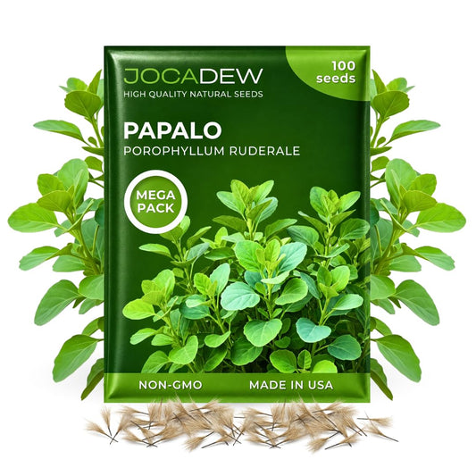 100+ Papalo Seeds – Mexican Herb Papaloquelite (Porophyllum ruderale) – Heirloom Garden Herb Seeds for Outdoor Garden, Raised Beds & Containers
