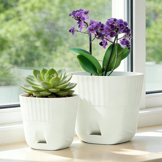 Gidary White Plastic Plant Pots, 6/4.7 Inch 2 Pack, Modern Planters with Drainage Holes and Trays for Indoor Plants, Succulents, Orchids, Herbs