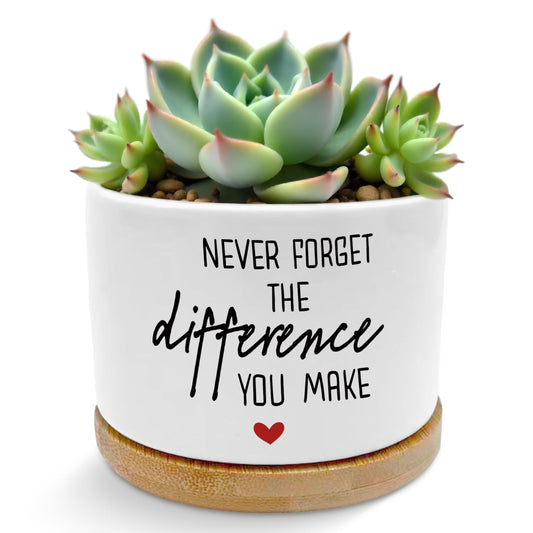 ROXMART Never Forget The Difference You Make Plant Pots, Farewell Gifts for Coworkers Boss Succulent Planters, Appreciation Gifts Ceramic Plant Flower Pots for Home Office Desk Table Shelf(No Plants)