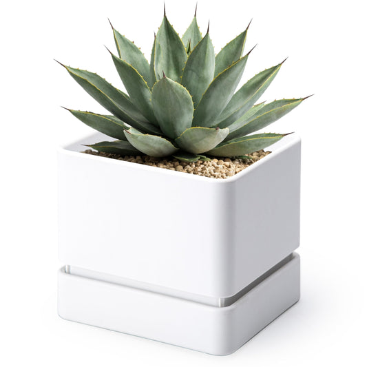D'vine Dev 6 Inch Herb Planter Pot, Plastic Planter with Drainage Holes and Saucer, Modern Decorative Gardening Pot for Indoor Plants, Flowers, Herbs, Succulents, White, Set of 1, 76-Y-A1-2