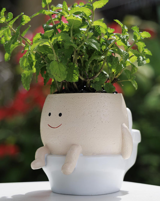 GaloTrek Smily Face Planter Pot Funny Toilet Plant Pots Cute Resin Flower Head Planters Succulent Pots for Indoor Outdoor Plants Unique Bathroom Planter with Drainage Hole (Small)