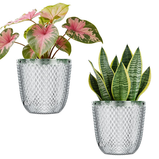 QCQHDU 2 Pack Self Watering Pots, 7.2 Inch Flower Pots with Drainage Holes and Water Filling Port, Plastic Garden Planter for Indoor Outdoor Plants (Clear)