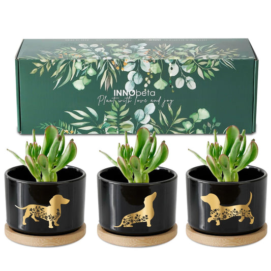 InnoBeta Dachshund Gifts Succulent Plant Pots 3pcs, Gifts for Dachshund Lovers, Planter Pot with Bamboo Tray, Plants NOT Included, Cute Ceramic Pots for Birthday, Christmas