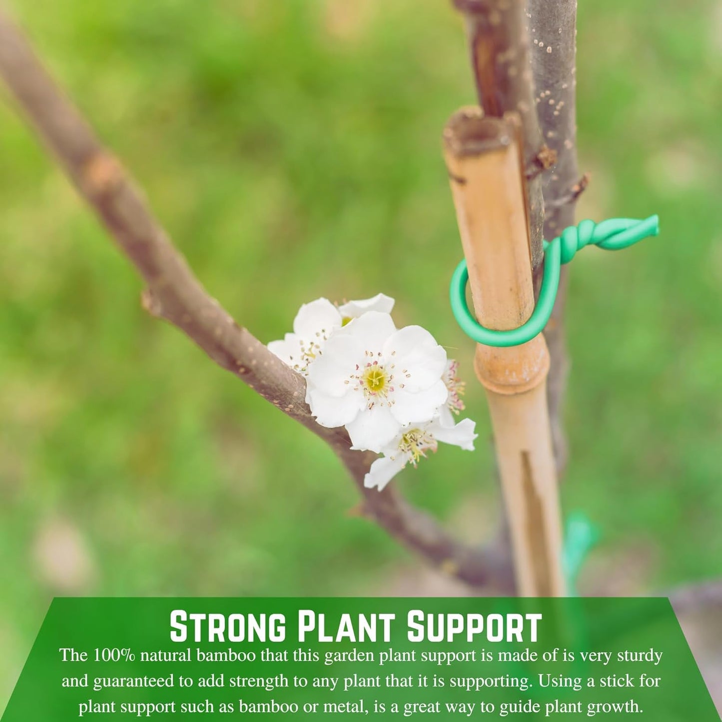 Farm Plastic Supply - Bamboo Garden Stakes - Bambo Sticks, Bamboo Plant Stakes for Outdoor Plants, Plant Support Stakes for Indoor Plants (4 Foot, 25)
