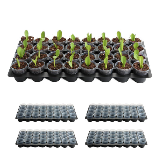 RooTrimmer 5-Pack 32 Cell Seedling Trays & 160 Pack 2" Soft Clear Nursery Pots -Thickened Durable Plant Starter Kit for Seed Germination (5 Sets)