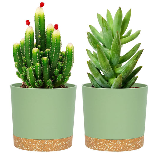 QCQHDU 5 inch Plant Pot, 2 Pack Planters for Indoor Plants with Drainage Holes & Saucer, Outdoor Flower Pots Home Garden Modern Decor