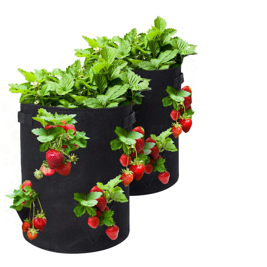 GOTGELIF 10 Gallon Strawberry Grow Bags 2-Pack, Thickened Nonwoven Grow Pots with 8 Pockets & Reinforced Handles for Strawberries, Tomatoes, Peppers, Herbs, Flowers