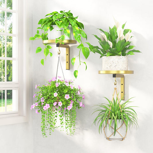 LASZOLA Plant Hangers Shelves Wall Mounted Indoor, Metal Window Plant Holders, 2Pcs Modern Floating Flower Display Stand with 2 Hooks for Outdoor Kitchen Bathroom Decor, Gold