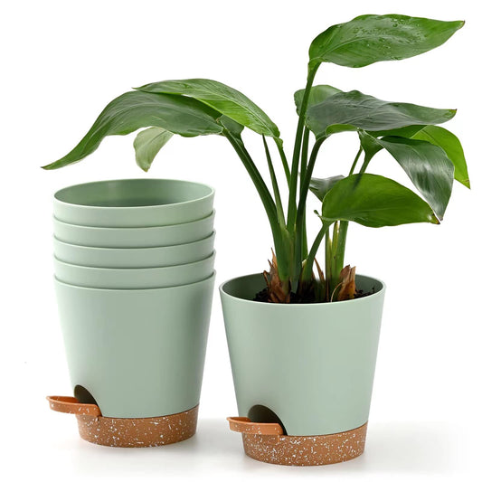 Qaobo Plant Pots 6 PCS 5 inch Self Watering Planters High Drainage Flowers Pot for Indoor Outdoor Plants with Reservoir Tray and Watering Lip Gardening Planter Garden Flower Pots, Green