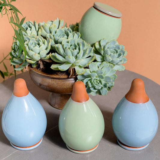 MOUGIGI 4-Pack Self Watering Planter Insert - 2 Blue and 2 Green Ceramic Watering Globes for Indoor Plants, Terracotta Bulbs, and Small Plant Pots - 300ml Capacity, 1 Weeks Autonomy