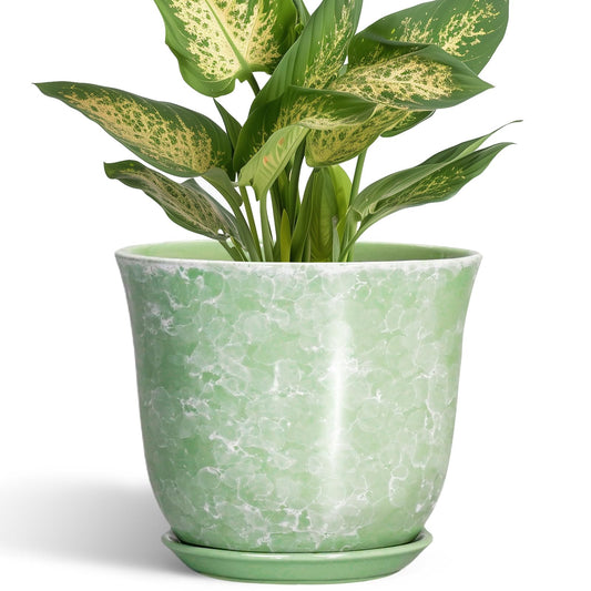 SUNPOTFOR Ceramic Plant Pots - 5.6 Inch Plant Pot with Drainage Hole and Saucer, Round Orchid Succulent Pots for Indoor Outdoor, Small Modern Planter, Desk Window Room Decor, Green