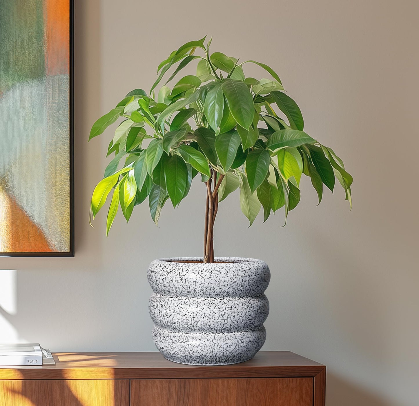SQOWL Ceramic Pots for Plants - 8 Inch Plant Pot with Drainage Hole, Round Planter for Indoor Plants, Ceramic Flower Pots Outdoor, Modern Planter, Room Decor, Gifts for Plant Lover, Black and White