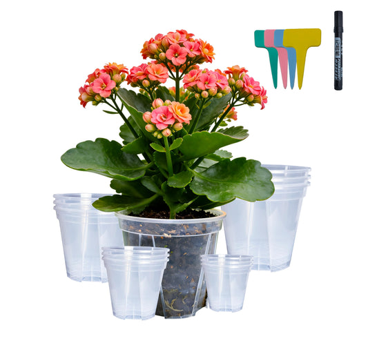 Slotted Clear Nursery pots - 3 Each of 3.9“,4.7“,5.5“,6.3" for Indoor & Outdoor Plants,Sturdy Plastic Planters, Nursery Pots with Drainage Holes for Repotting with 12 Plant Labels and 1 Marker