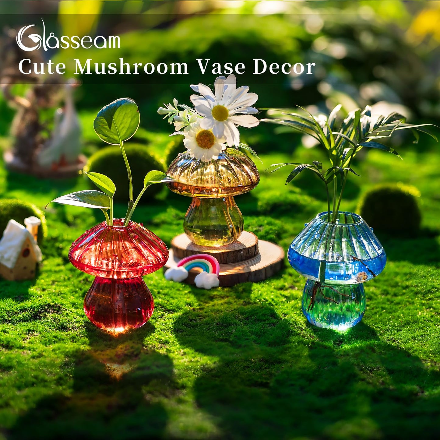 Glasseam Mushroom Plant Propagation Station: Glass Plant Terrarium Jar with Wood Stand Unique Hydroponic Planters for Indoor Plants Cute Propagation Vase for Plant Lovers Home Office Decor 3Pcs