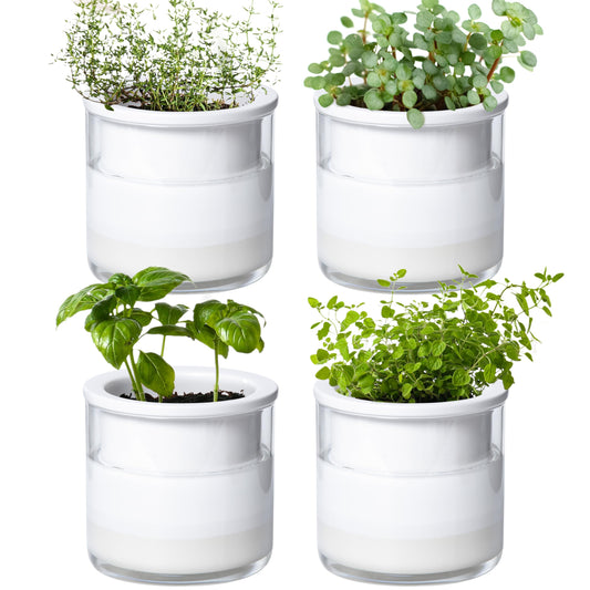 Phoenix Vine 4 Inch Self Watering Planter Pot, Design White Terracotta Pots for Plants, Indoor Cylinder Terra Cotta Pots with Glass Vase, Set of 4, 51-B-E-4