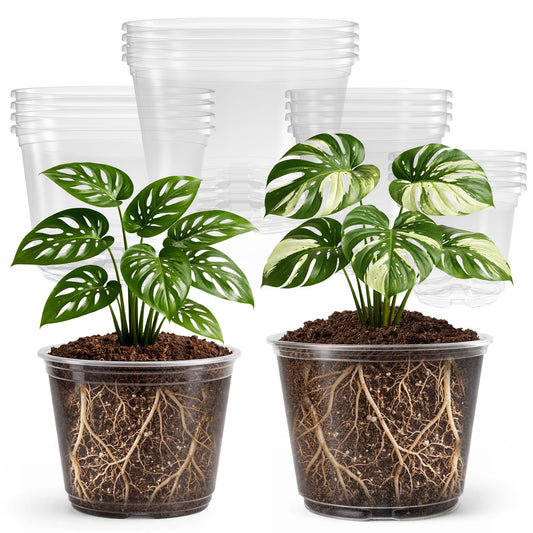 Bluepro 16 Pack 10/8/6/5 Inch Reinforced Large Clear Nursery Pots with Drainage Holes, Transparent Variety Pack Plastic Plant Pot for Vegetable Propagation, Root Cutting, Seed Starting