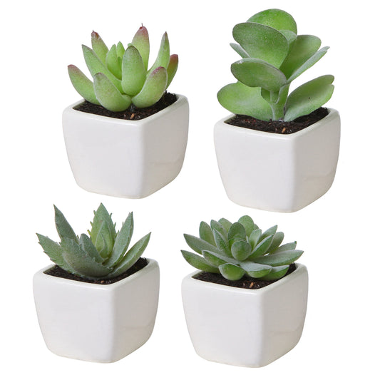 MyGift Set of 4 Mini Assorted Green Decorative Artificial Succulent Plants in Square White Glazed Ceramic Planter Pots