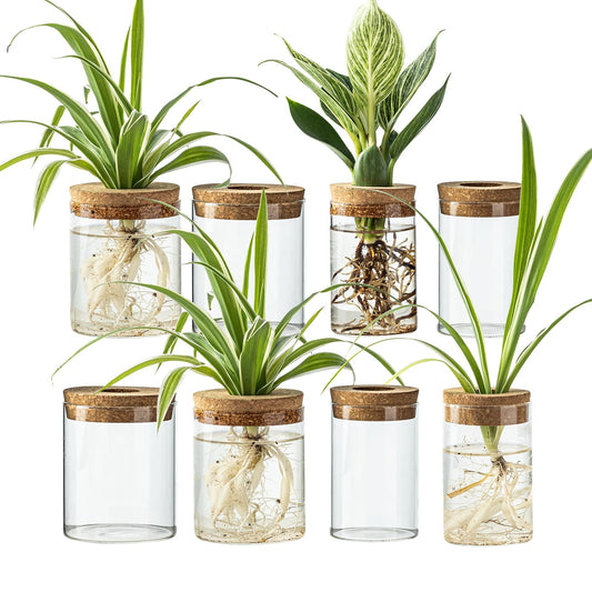 CHPINDAM Glass Propagation Stations for Plants -Desktop Flower Vases,Propagation Flower Vases Set – 2 Large & 2 Small for Plant Cuttings，for Living Room, Bedroom Decoration,Home,Office Decor (8)