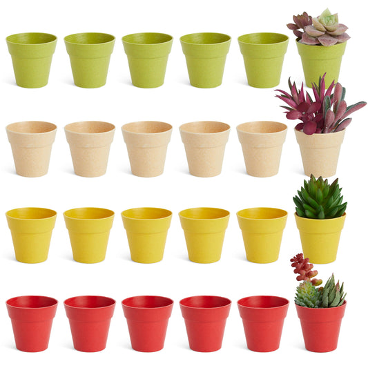 Juvale Mini Plastic Plant Pots - Drainage Hole for Flower Pots - Sturdy Planter for Indoor Plants - Pack of 24, 2.5 x 2.3 in, Multicolor