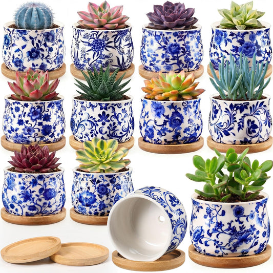 Ferrochef 12 Pcs 3" Ceramic Chinoiserie Succulent Plant Pot Blue and White Porcelain Planter with Bamboo Tray Drainage Hole Mini Chinese Flower Jardiniere for Cactus Herbs Home Office Indoor Decor