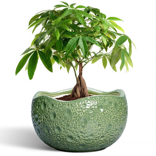 Thirtypot Ceramic Pots for Plants - 10 Inch Plant Pot for Indoor Outdoor, Round Bonsai Pots with Drainage Hole, Modern Planter, Decorative Flower Pot, Living Room Decor, Gifts for Plant Lovers, Green