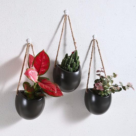 Kvetto Set of 3 Ceramic Wall Vases - Hanging Pocket Planters for Indoor Plants, Wall Decor for Entryway Hallway Bathroom Living Room Dining Room