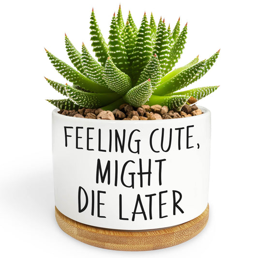 Bttwkco Funny Succulent Pots, Mini Succulent Planter Pots, Cute Planters for Succulents, Small Ceramic Cactus Pot with Drainage Hole, Plant Lover Gifts - Feeling Cute Might Die Later