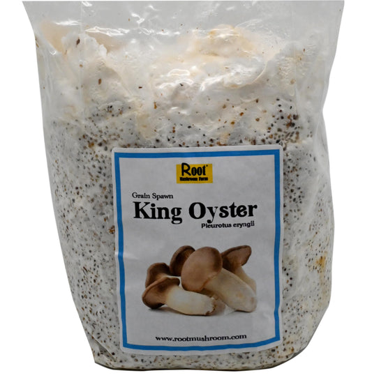 Root Mushroom Farm-King Oyster Grain Spawn(NOT A GROW KIT)