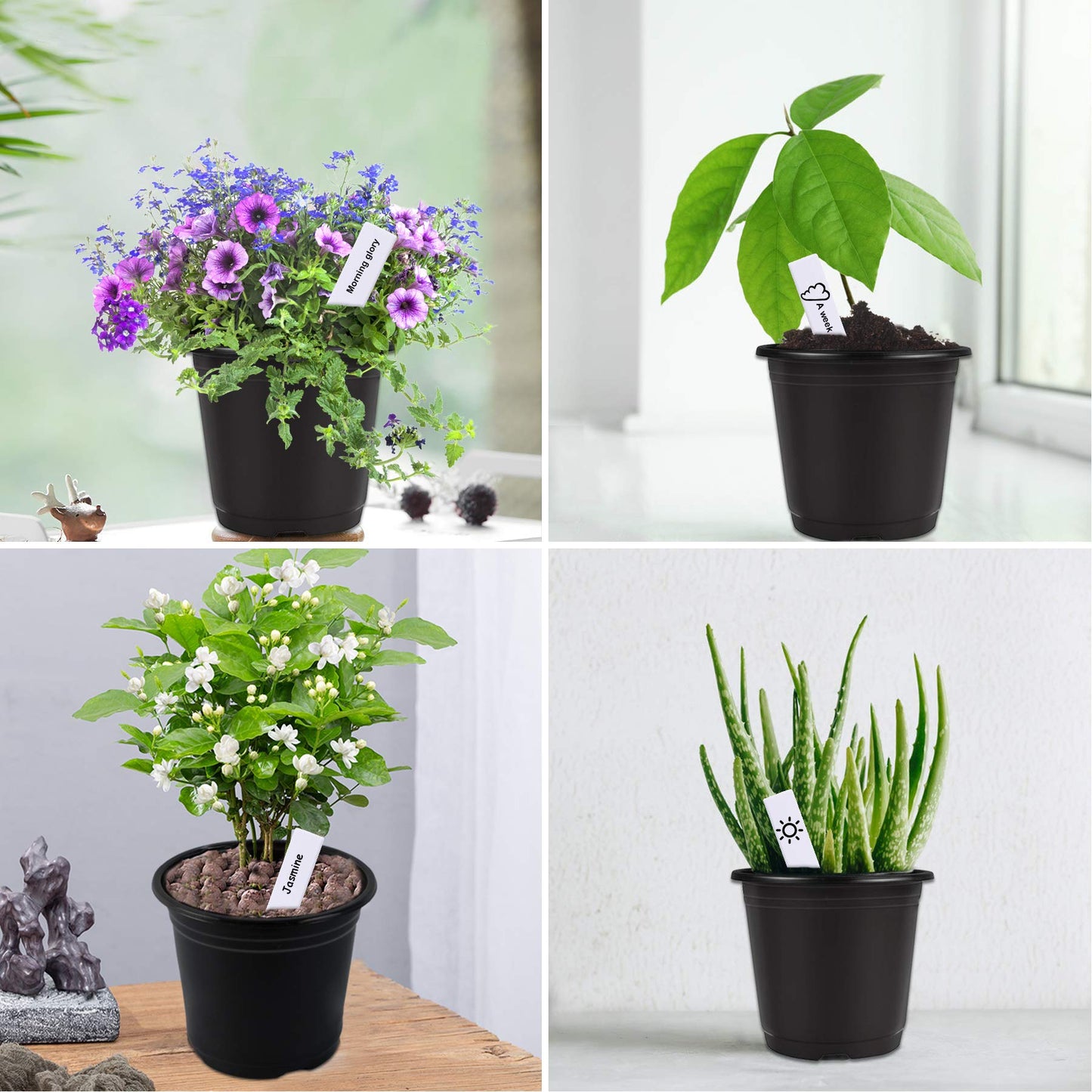 Augshy 50 Pcs 0.5 Gallon Black Plastic Plant Nursery Pots 6 Inches Seed Starting Pots Containers with 50 Labels