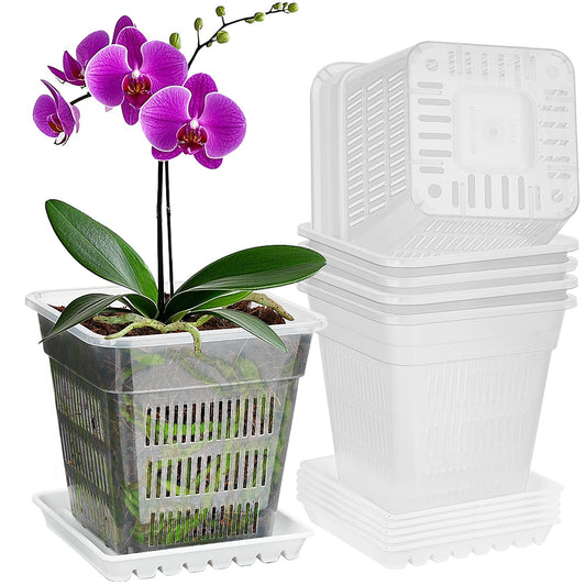 MYITYARD Orchid Pots with Holes, 6 Pieces 6 Inch Square Clear Orchid Pot for Repotting - Plastic Plant Pots for Indoor Outdoor Flower Planters Dendrobium Phalaenopsis Decoration