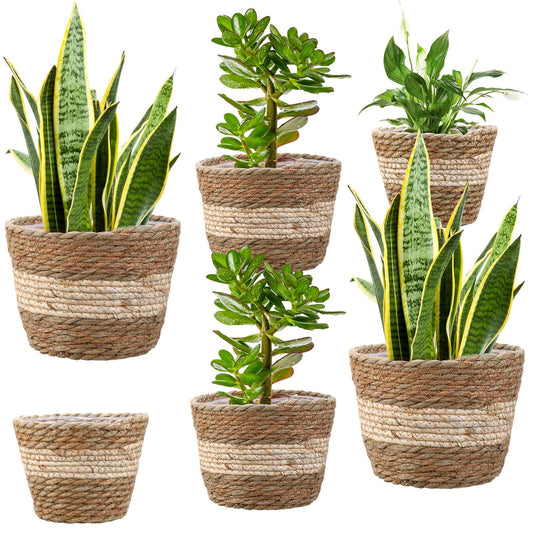 Mumufy 6 Pcs Seagrass Planter Basket Flower Pots Cover Plant Baskets Hand Woven Plant Basket Storage Containers with Plastic Liners for Indoor Outdoor Flower Pots Decoration 10, 7, 8.3 Inch(Novel)