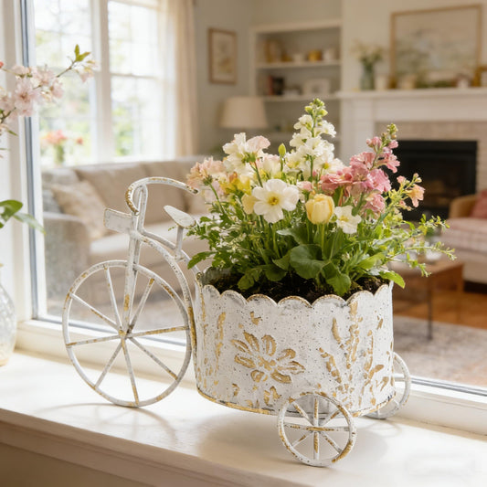 Queltharion Vintage White Metal Bicycle Planter Rustic Distressed Iron Flower Pot Plant Stand for Succulent Cactus Bonsai Herbs Flower Pot Indoor & Outdoor Garden Home Desktop Decor Gifts