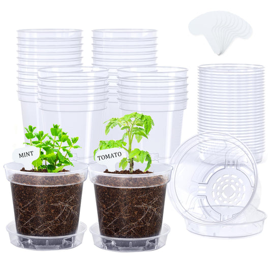 homenote 4 Inch Clear Nursery Pots 30 Pack with Drainage and Plant Saucers, Rigid High Transparency Plastic Nursery Pots for Plants,Thick Walled Planter Nursery Pots with Upgraded Drainage Holes