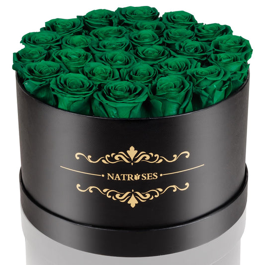 NATROSES Gifts for Her 27 Piece Forever Preserved Roses in a Box, Preserved Flowers for Delivery Birthday, Flowers Gifts for Mothers Day, Forest Green
