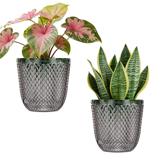 QCQHDU 2 Pack Self Watering Pots, 7.2 Inch Flower Pots with Drainage Holes and Water Filling Port, Plastic Garden Planter for Indoor Outdoor Plants (Gray)