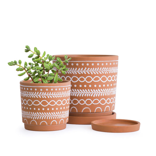 D'vine Dev Set of 2 Terracotta Pots, 4 Inch & 6 Inch, Planter Pots for Plants with Drainage Holes and Saucers, Terracotta/White, 31-958-D-1