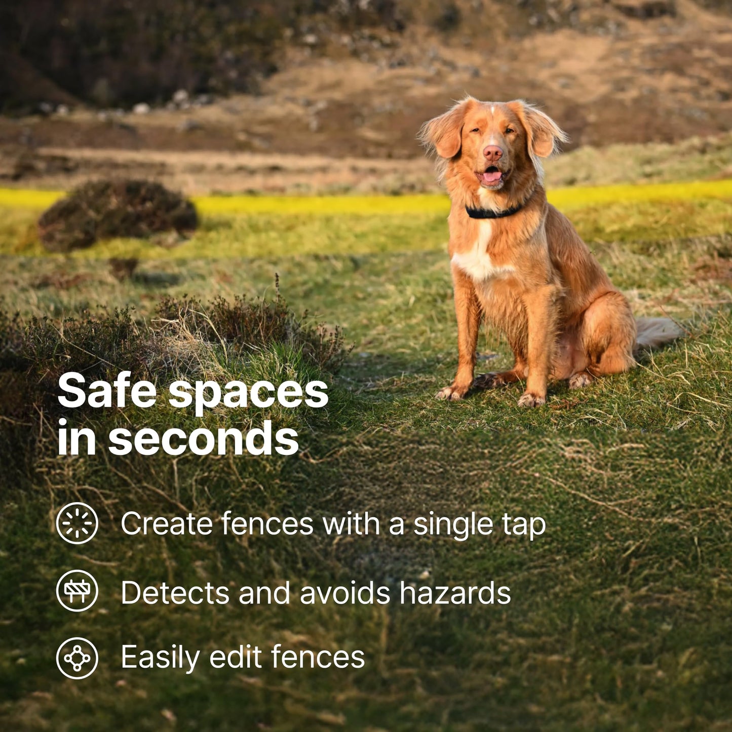 Halo Collar 5 Wireless Dog Fence & GPS Dog Collar, Keep Your Dog Safely Contained Outdoors with App-Controlled Boundaries and Real-Time Tracking, One Size, Blaze