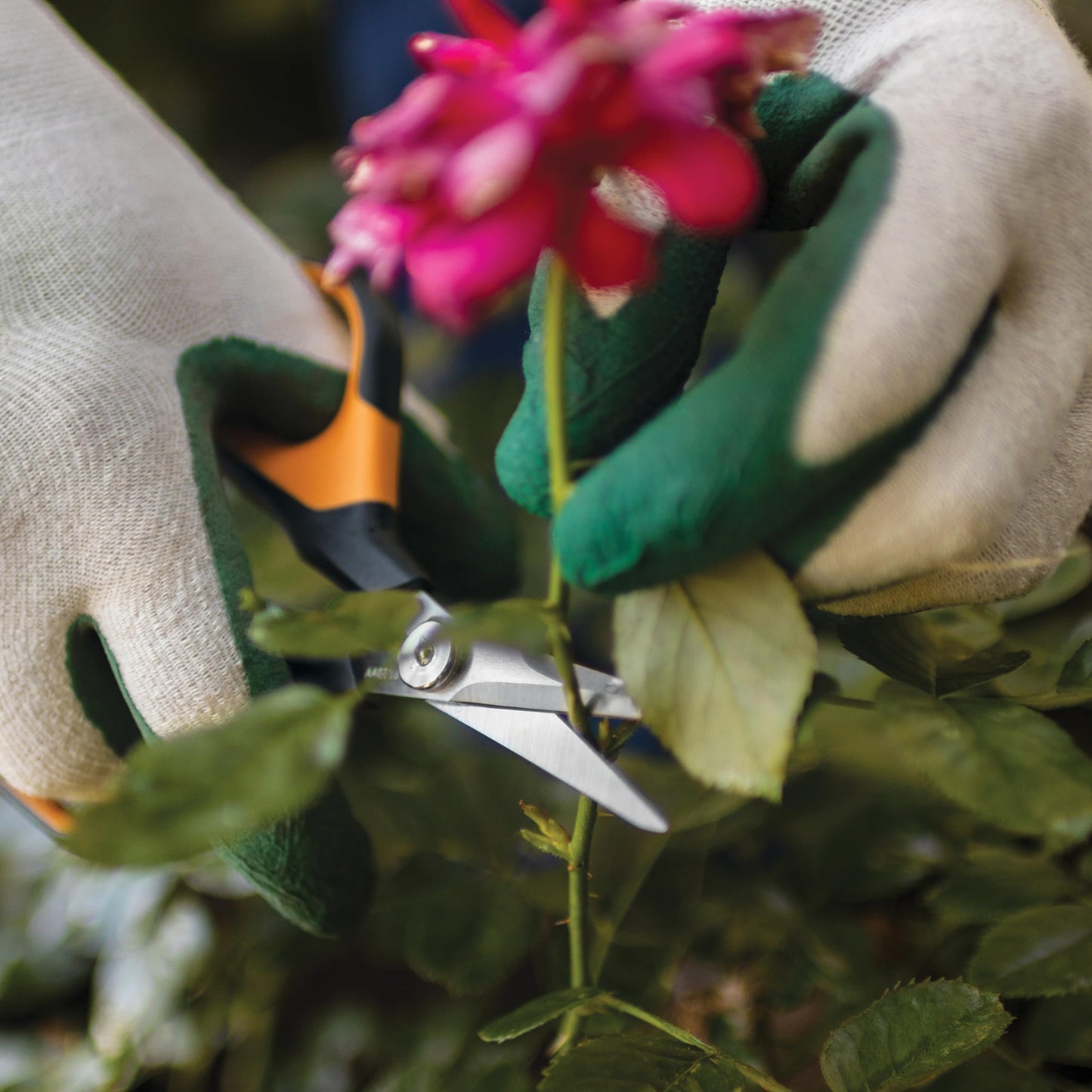 Fiskars Comfort Loop Pruning Snips, Garden Gifts for Women, Extra Large SoftGrip Handle, Yard and Garden Tools 7", Orange/Black